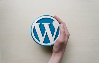 3 Essential WordPress Tips for Launching a Successful Website in 2019