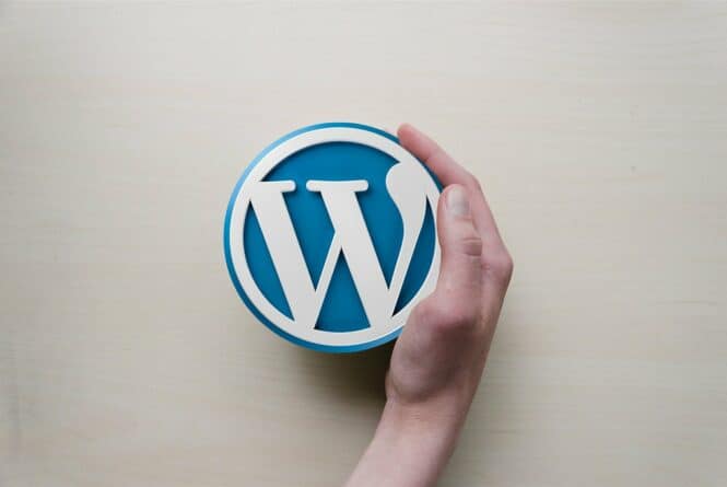 3 Essential WordPress Tips for Launching a Successful Website in 2019