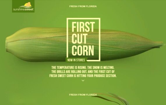 First Cut Corn